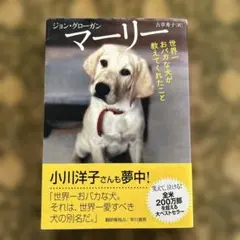 さすライダー様 リクエスト 2点 まとめ商品