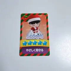 SEVENTEEN セブチ エスクプス パズチ 会場 特典 トレカ パズル