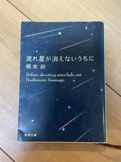 流れ星が消えないうちに 橋本紡 新潮文庫