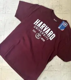 新品タグ　アメリヴィンテージ　ハーバードコラボTシャツ 楽天市場】harvard Tシャツの通販