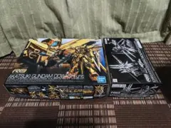 XAランナー無し アカツキガンダム(オオワシ装備)＆ゼウスシルエット RG