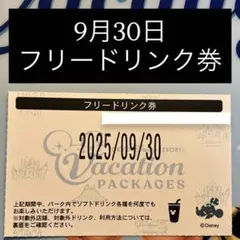 2025年最新】ディズニーフリードリンク券の人気アイテム - メルカリ
