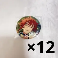 あんスタ 夏目 10周年 缶バッジ 展示会 26個セット - メルカリ