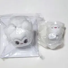 TWICE〜ヘアピン WORLD TOUR ready to be ラブリー