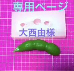 専用ページ　　大西由様　無害シリコンモールド