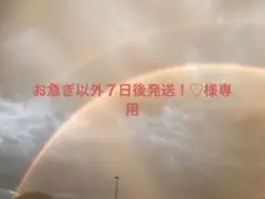 お急ぎ以外７日後発送！♡様専用ページ
