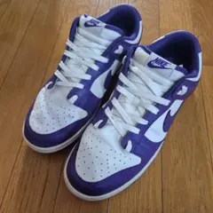 Nike スニーカー ホワイト/パープル