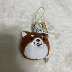 もちしば　ぬいぐるみマスコット