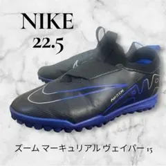 Item thumbnail for item 13a27778-a905-471f-8446-08c54af4a67f