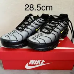 Nike Air Max Plus グレー/ブラック/イエロー　ナイキ