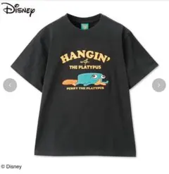 Item thumbnail for item 1d8dbbca-36f2-42c2-8026-257e565f4fe1