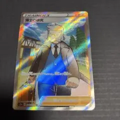 8*9様 ポケモンカード　博士の研究　ナナカマド博士　s12a 248/172S