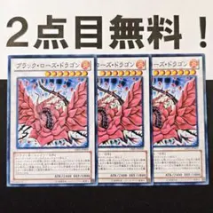 遊戯王 N431 スターダストドラゴン ブラックローズドラゴン 汎用18枚