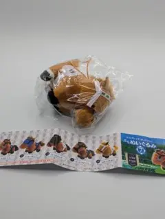 サラブレッドぷちぬいぐるみ 馬 7 ミホノブルボン