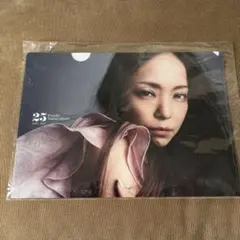 ✨安室奈美恵 Finally 25周年 クリアファイル✨のサムネイル