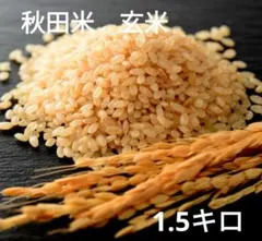 お米　玄米　秋田米　令和6年産のサムネイル