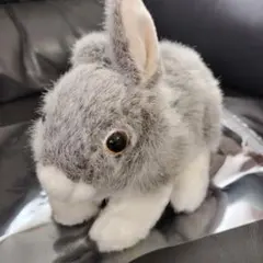 2025年最新】アーティスト テディベアの人気アイテム - メルカリ