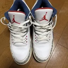 NIKE AIRJORDAN エアジョーダン　27.5 未使用 エア ジョーダン 1 NIKE AIR JORDAN MID ナイキ ミッド CEMENT