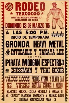 メキシコ ルチャリブレ LUCHA LIBRE プロレス 　額付きポスター
