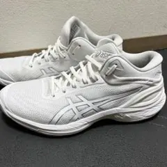 Item thumbnail for item fd4a093c-2acb-42e1-bd2d-c5753ef70822