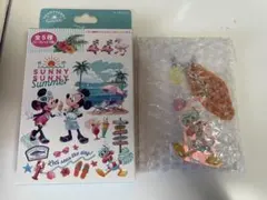 ディズニー　サニーサニーサマー　キーチェーン　ドナルドダック