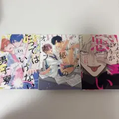 BL本 まとめ売り