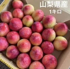 長野県北信州産】大石早生プラム.すもも 秀品Lサイズ 1kg - メルカリ