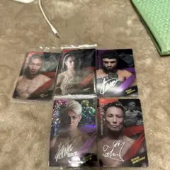 RIZINウエハースセット