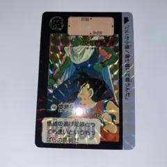【入手困難】DQ4 男勇者　ホログラム　トレーディングカード【激レア】 入手困難】DQ4 男勇者 ホログラム トレーディングカード【激レア