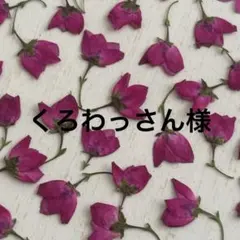 くろわっさん様 リクエスト 3点 まとめ商品