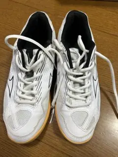 【23cm】ミズノジュニアバレーボールシューズ サイクロンスピード