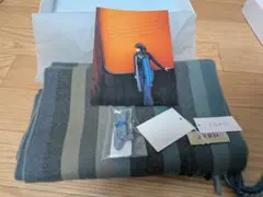 Item thumbnail for item 53b79a44-052e-4ebe-a4f9-8adc1b42123b