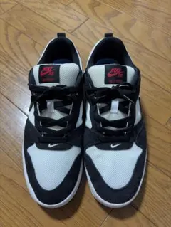 NIKE SB ALLEYOOP スニーカー