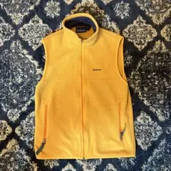 2025年最新】patagonia カラー：オレンジ系 ベストの人気