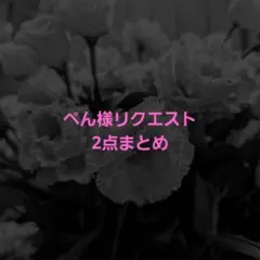 ぺん様 リクエスト 2点 まとめ商品
