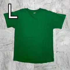 フルーツオブザルーム　Tシャツ　無地　メンズ　L グリーン　胸ポケット　半袖