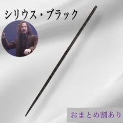 ハリーポッター　シリウス・ブラック　魔法の杖　USJ 　ハロウィン　コスプレ
