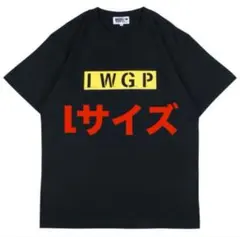 MEDICOM TOY I.W.G.P. 池袋ウエストゲートパークのサムネイル