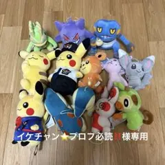 ポケモン ぬいぐるみセット 13体
