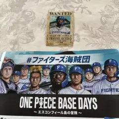 日本ハムファイターズ Franmil Reyes WANTEDカード　送料込み