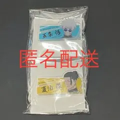 呪術廻戦 領域展開スクエア 懐玉・玉折 アクリル名札バッジ 五条 夏油 2点