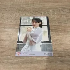野口衣織 研究員 チュウ