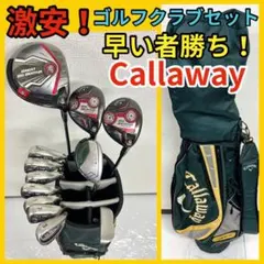 ゴルフクラブ レディース セット ナイキ IGNITE入り 初心者 D3957