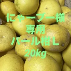 にゃーブー様専用パール柑 Ｌ20kg