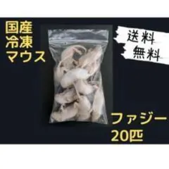 国産冷凍マウス ホッパー 20匹 (送料無料一部地域発送不可) - メルカリ