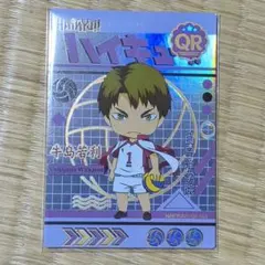 海外版 ハイキュー ランダムカード 牛島若利 ミニキャラ