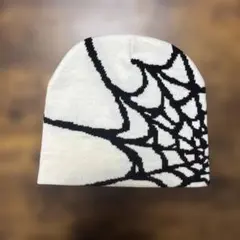 スパイダーウェブ柄 ニット帽 ビーニー　スケーター　y2k