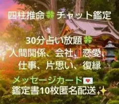 四柱推命レイキティーチャーチャット鑑定30分占い放題 幸福の石天然水晶プレゼント