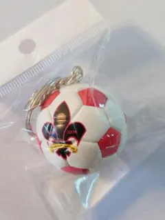 ツエーゲン金沢 サッカーボール キーホルダー Jリーグ グッズ エンブレム