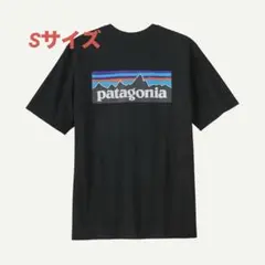 Patagonia メンズ・P-6ロゴ・レスポンシビリティー